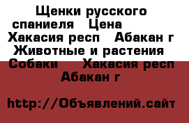 Щенки русского спаниеля › Цена ­ 4 000 - Хакасия респ., Абакан г. Животные и растения » Собаки   . Хакасия респ.,Абакан г.